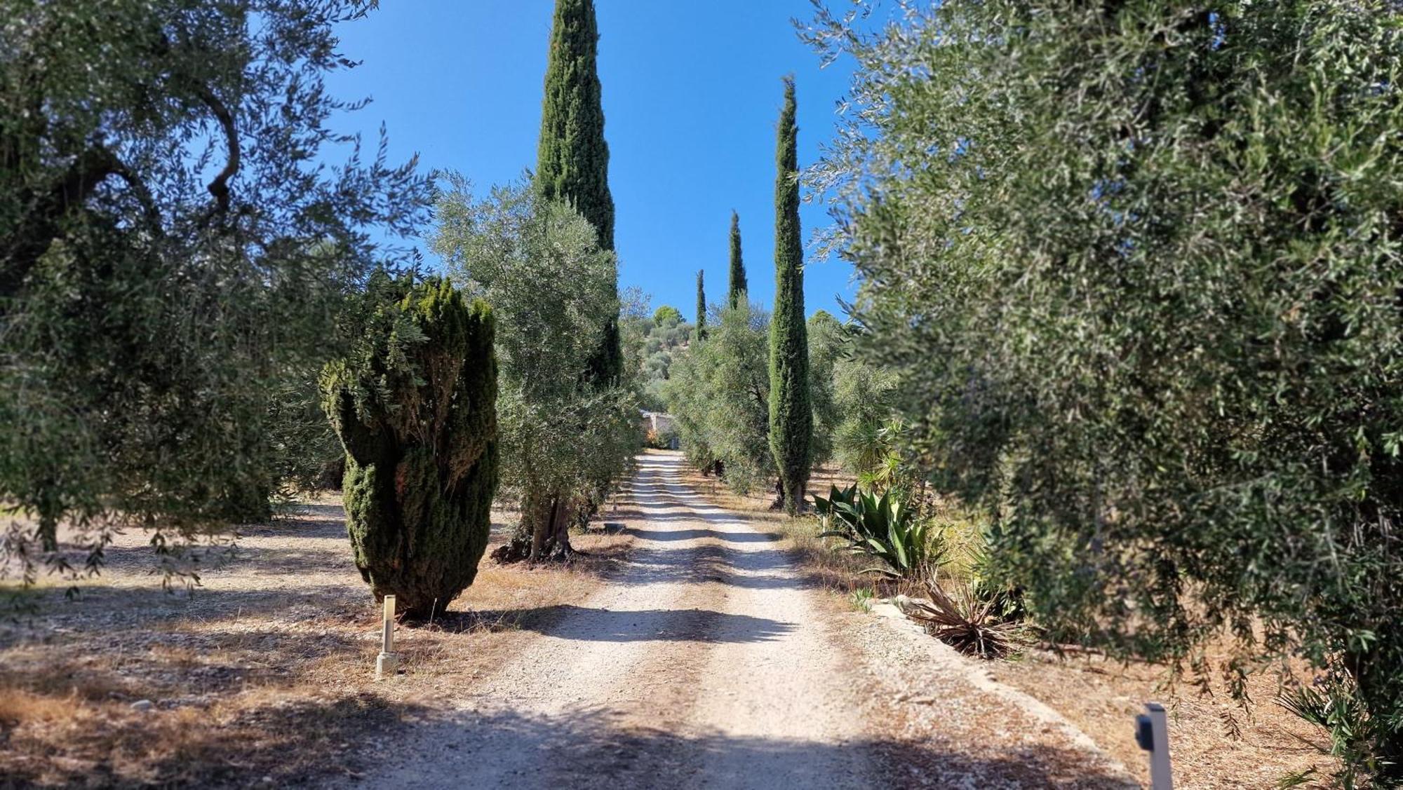 Le Fronde Vieste Luaran gambar